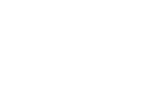 VIC