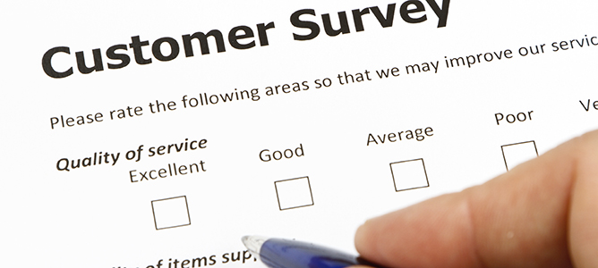 Survey web slider
