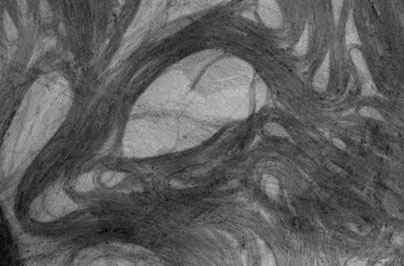 thumbnail_-wenlong-cheng-nanofields-of-gold