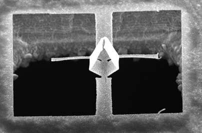 thumbnail_making-the-fold