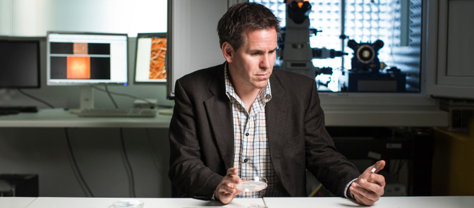 Nico for announcement EDIT